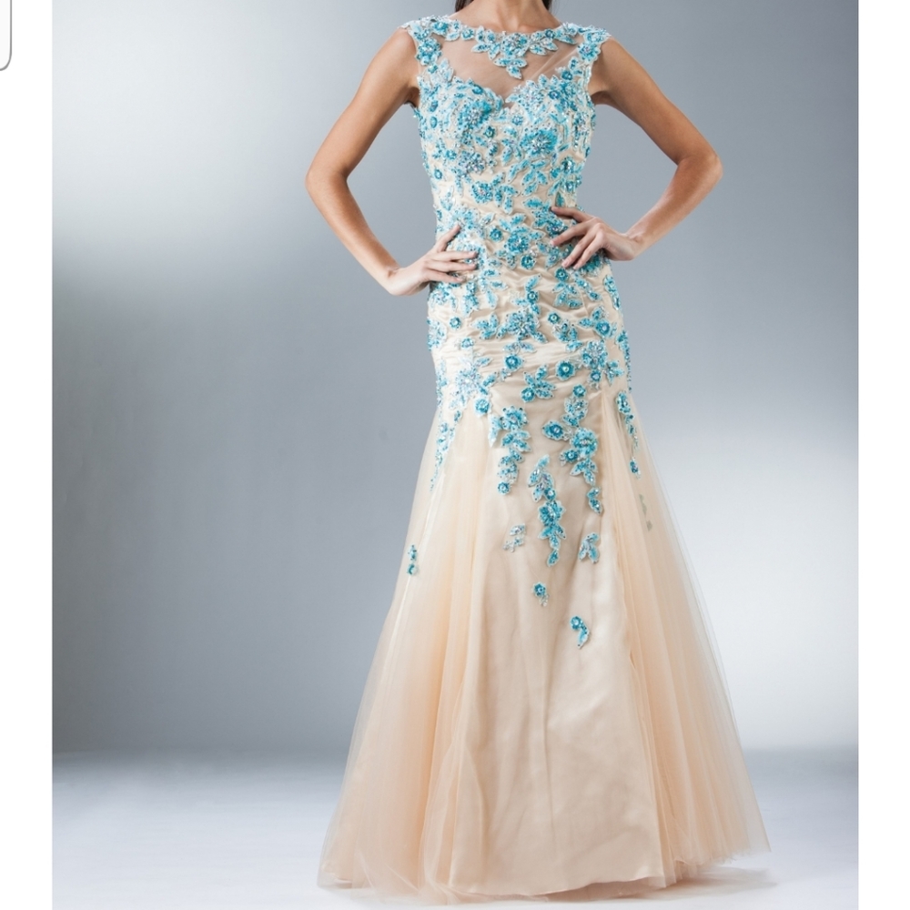 Cinderella Blue and Cream Backless Dress